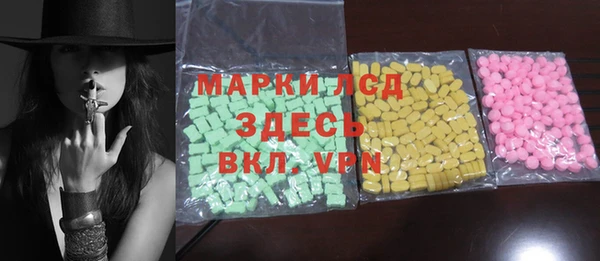 ГАЛЛЮЦИНОГЕННЫЕ ГРИБЫ Богданович