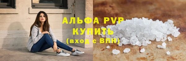 ГАЛЛЮЦИНОГЕННЫЕ ГРИБЫ Богданович