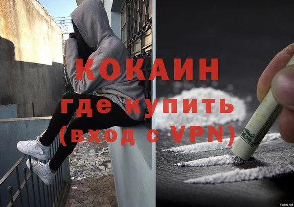 ГАЛЛЮЦИНОГЕННЫЕ ГРИБЫ Богданович