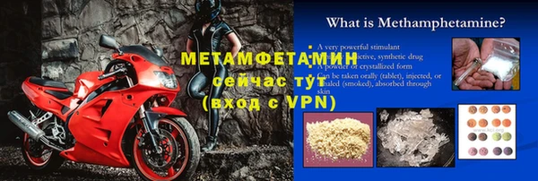 ГАЛЛЮЦИНОГЕННЫЕ ГРИБЫ Богданович