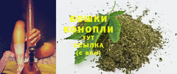 ГАЛЛЮЦИНОГЕННЫЕ ГРИБЫ Богданович