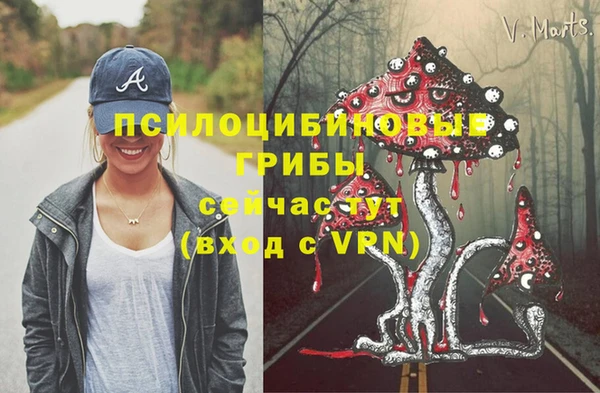 альфа пвп Богородицк